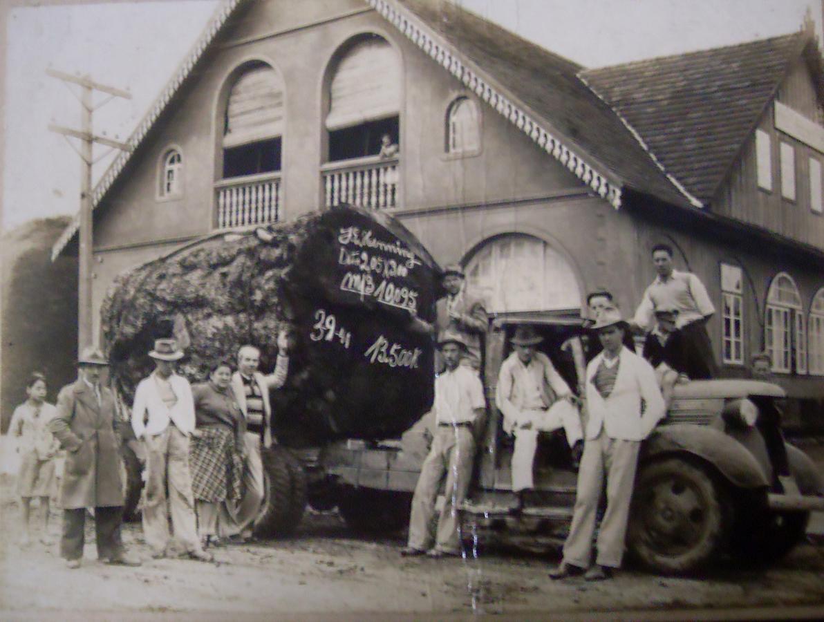 Hotel Scholze Canoinhas